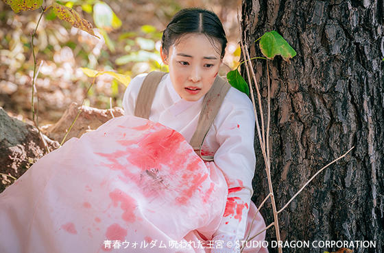 韓国ドラマ「青春ウォルダム 呪われた王宮」