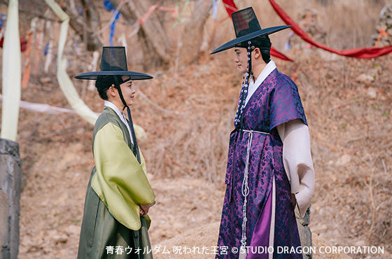 韓国ドラマ「青春ウォルダム 呪われた王宮」